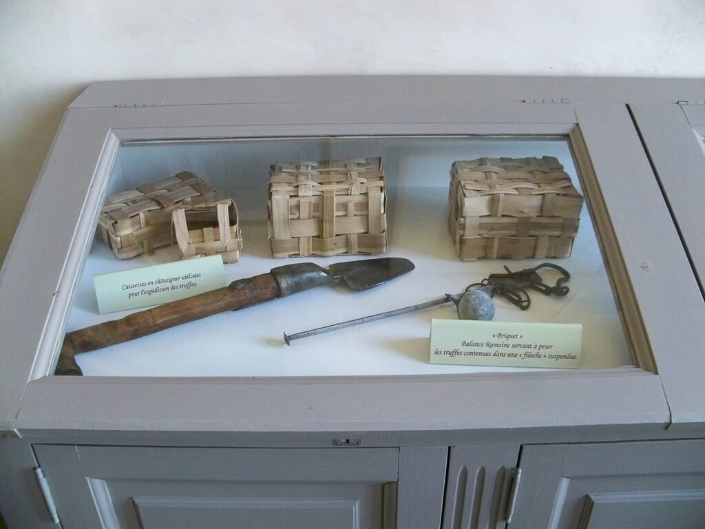 Vestiario e attrezzatura